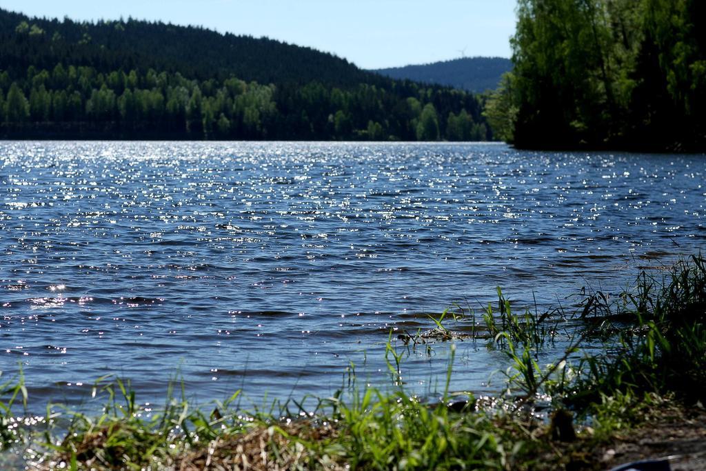 Apartmany Bella Vista Lipno Frydava Exterior photo